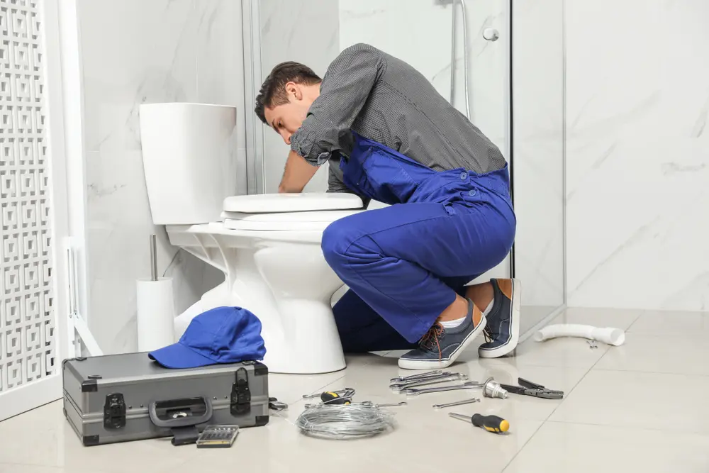 Toilet Installation in Leipsic